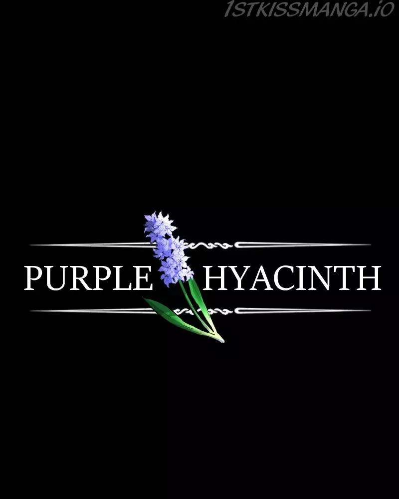 Purple Hyacinth - 153 page 38-4a3ae959