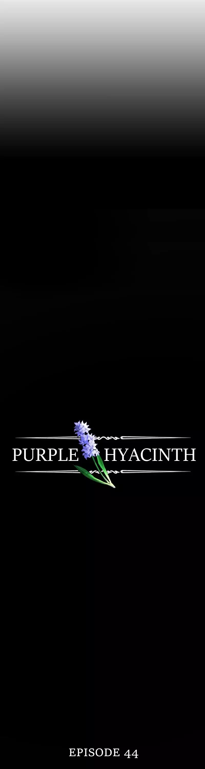 Purple Hyacinth - 44 page 10-744026fa