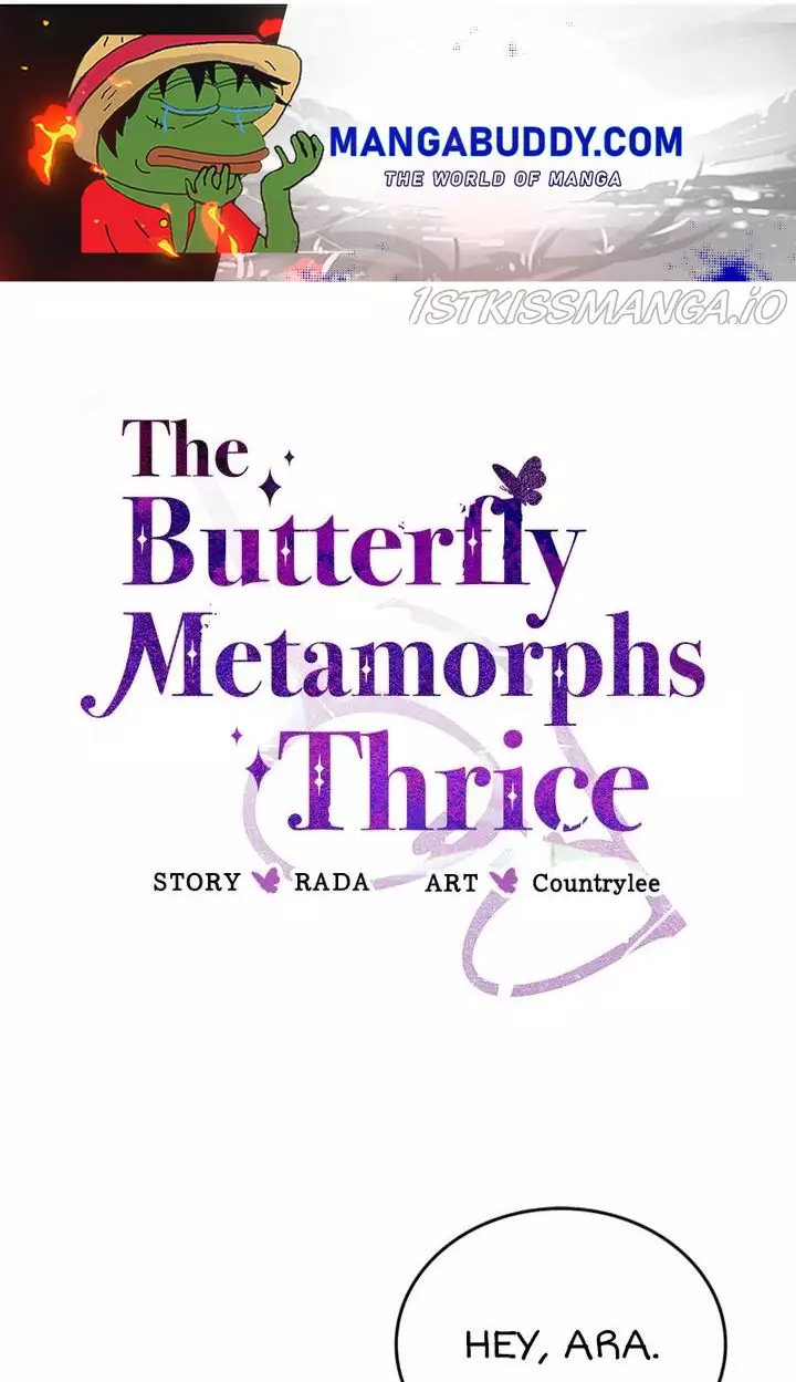 A Butterfly Metamorphoses Three Times - 29 page 1-3df8779a
