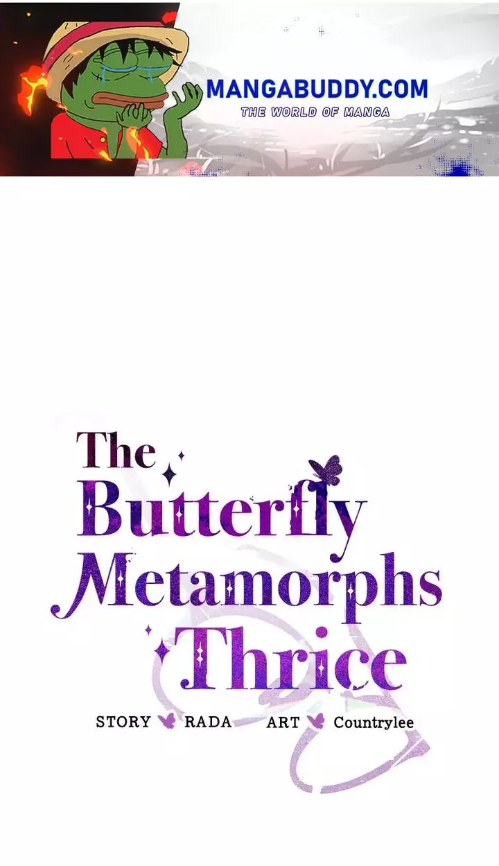 A Butterfly Metamorphoses Three Times - 9 page 1-5c0e6667