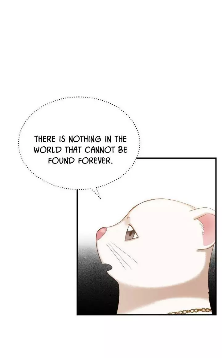 Death To The White Ferret Weasel - 16 page 36-0e20ac02