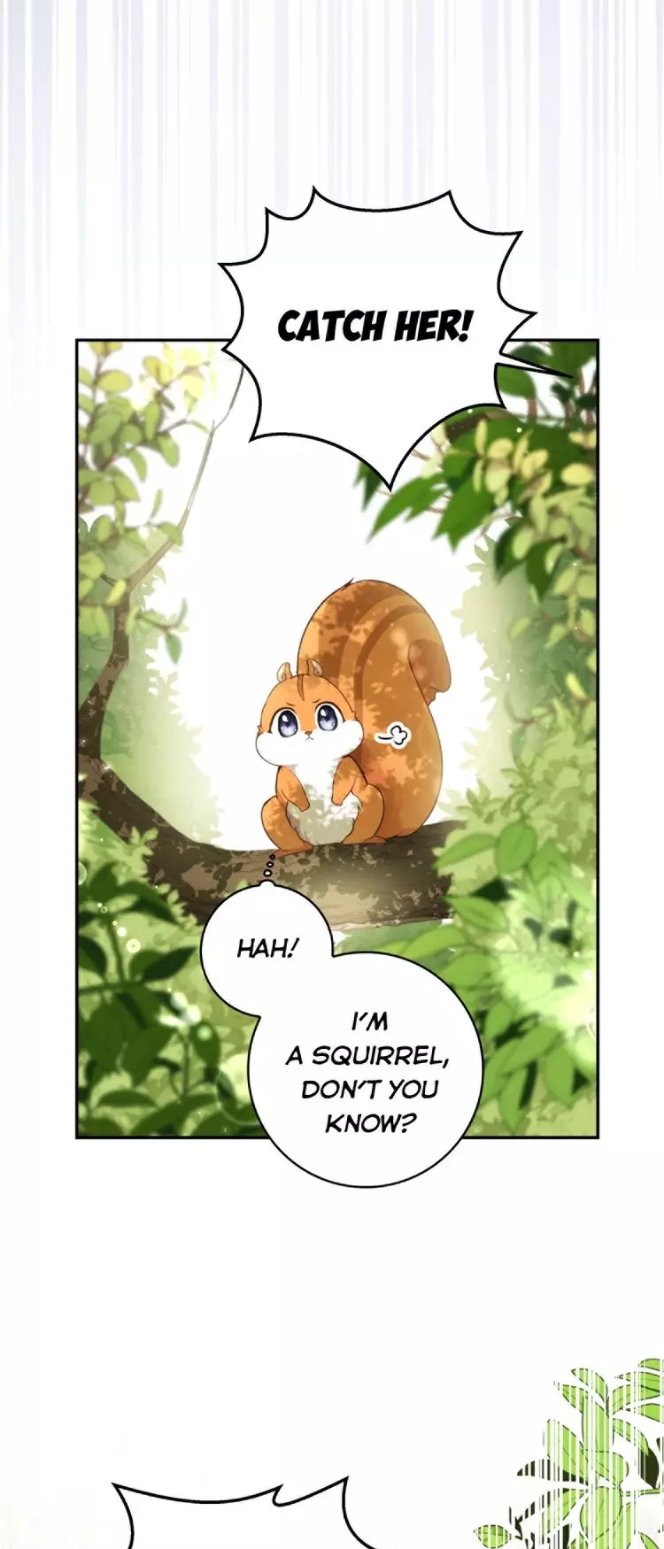 Talented Baby Squirrel - 2.05 page 28-4070cde3