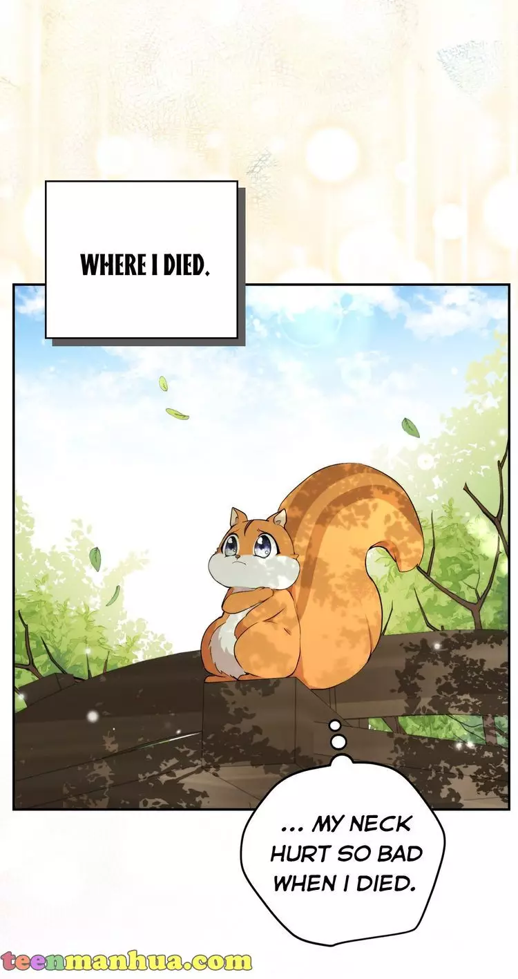 Talented Baby Squirrel - 2.05 page 38-a8365cc4