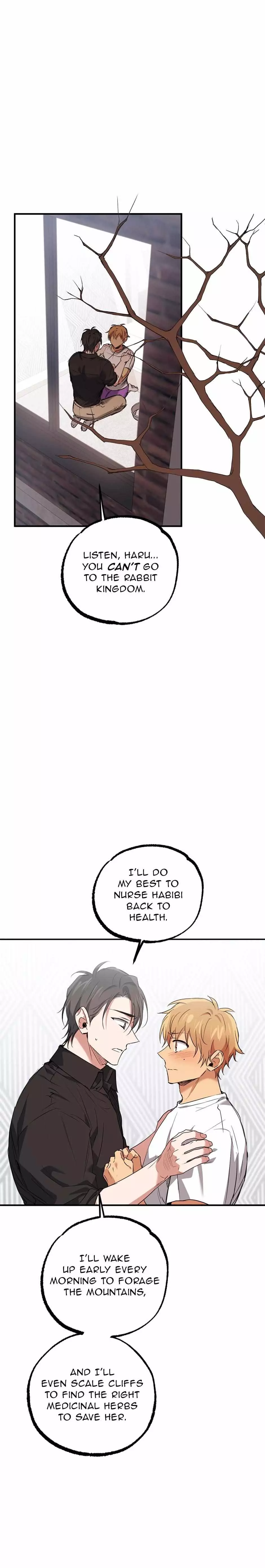 Habibi's Rabbits - 61 page 7-0ac6226e