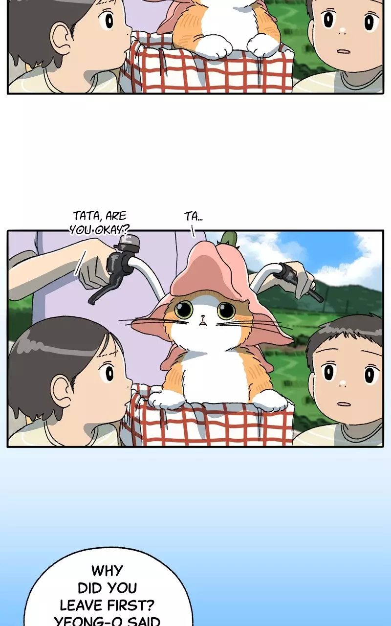 Tata The Cat - 16 page 3-c11d1392