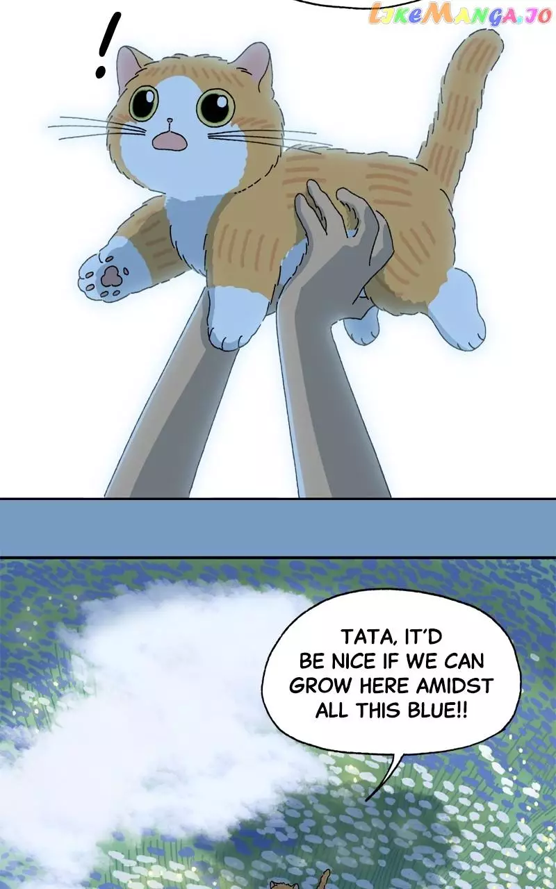 Tata The Cat - 22 page 51-cca6b640