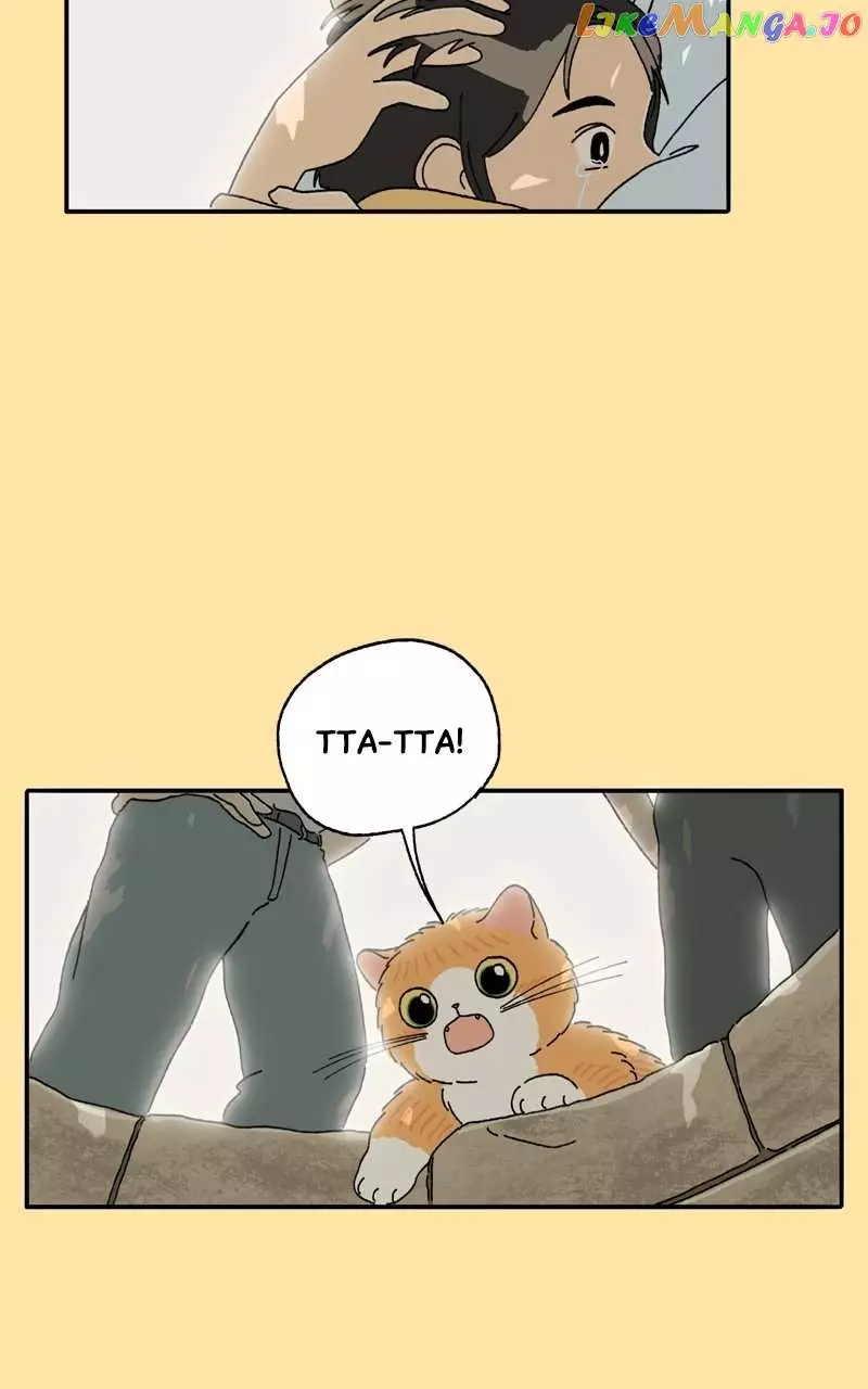 Tata The Cat - 24 page 3-c1c4e4bb