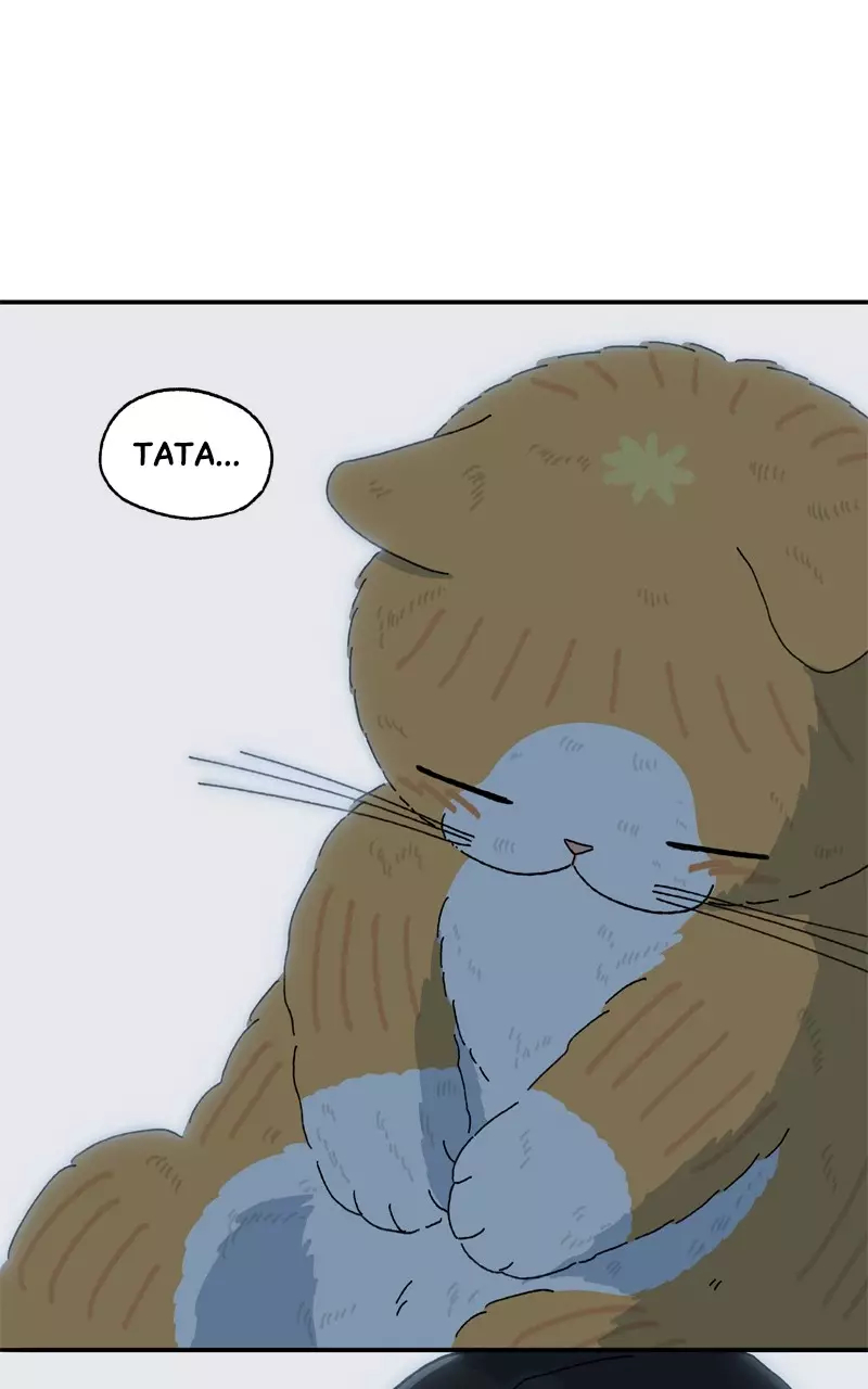 Tata The Cat - 33 page 48-ad3c95ea