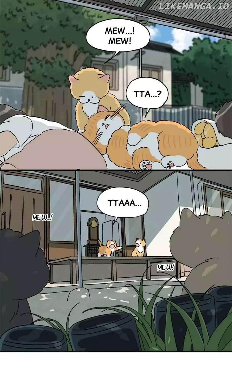 Tata The Cat - 42 page 25-ecb8137d