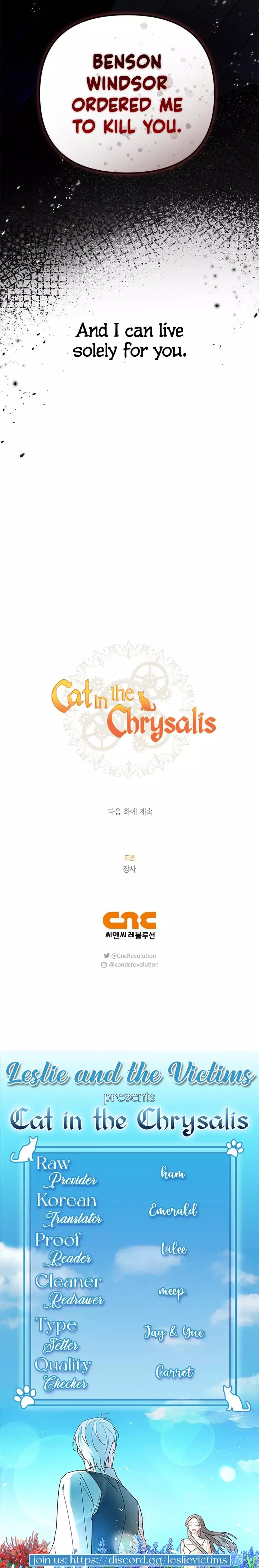 Cat In The Chrysalis - 48 page 45-9411ca80