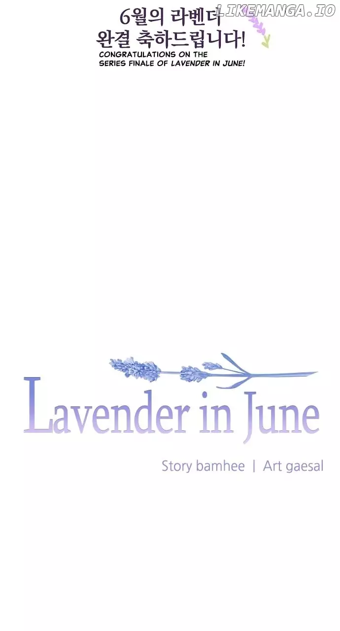 Lavender In June - 50 page 52-97bfa1f7