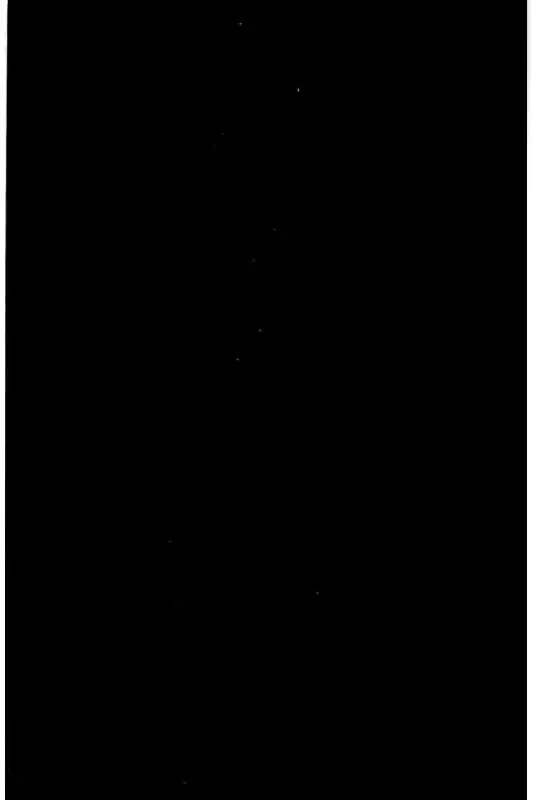Yokokuhan - The Copycat - 3 page 40-13bd1187