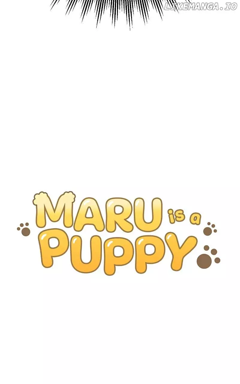 Maru Is A Puppy - 31 page 5-d3a6e624
