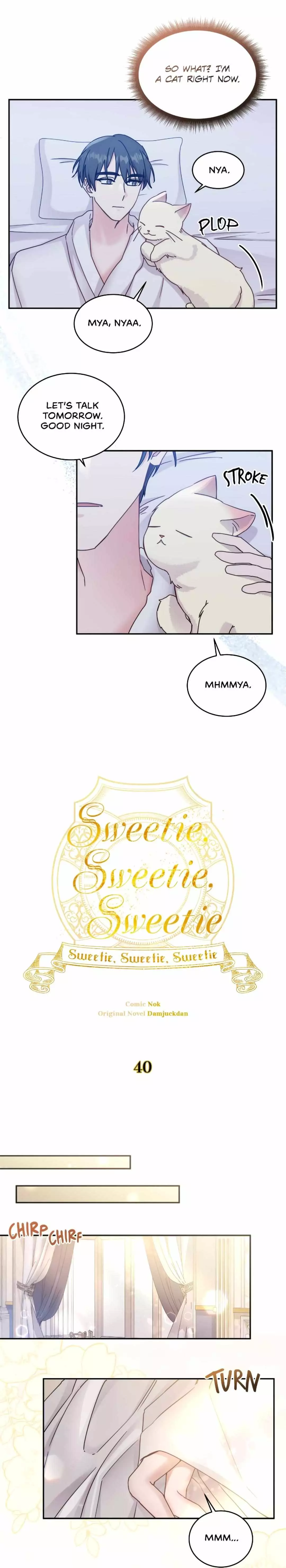 Sweetie, Sweetie, Sweetie - 40 page 13-c8565bca